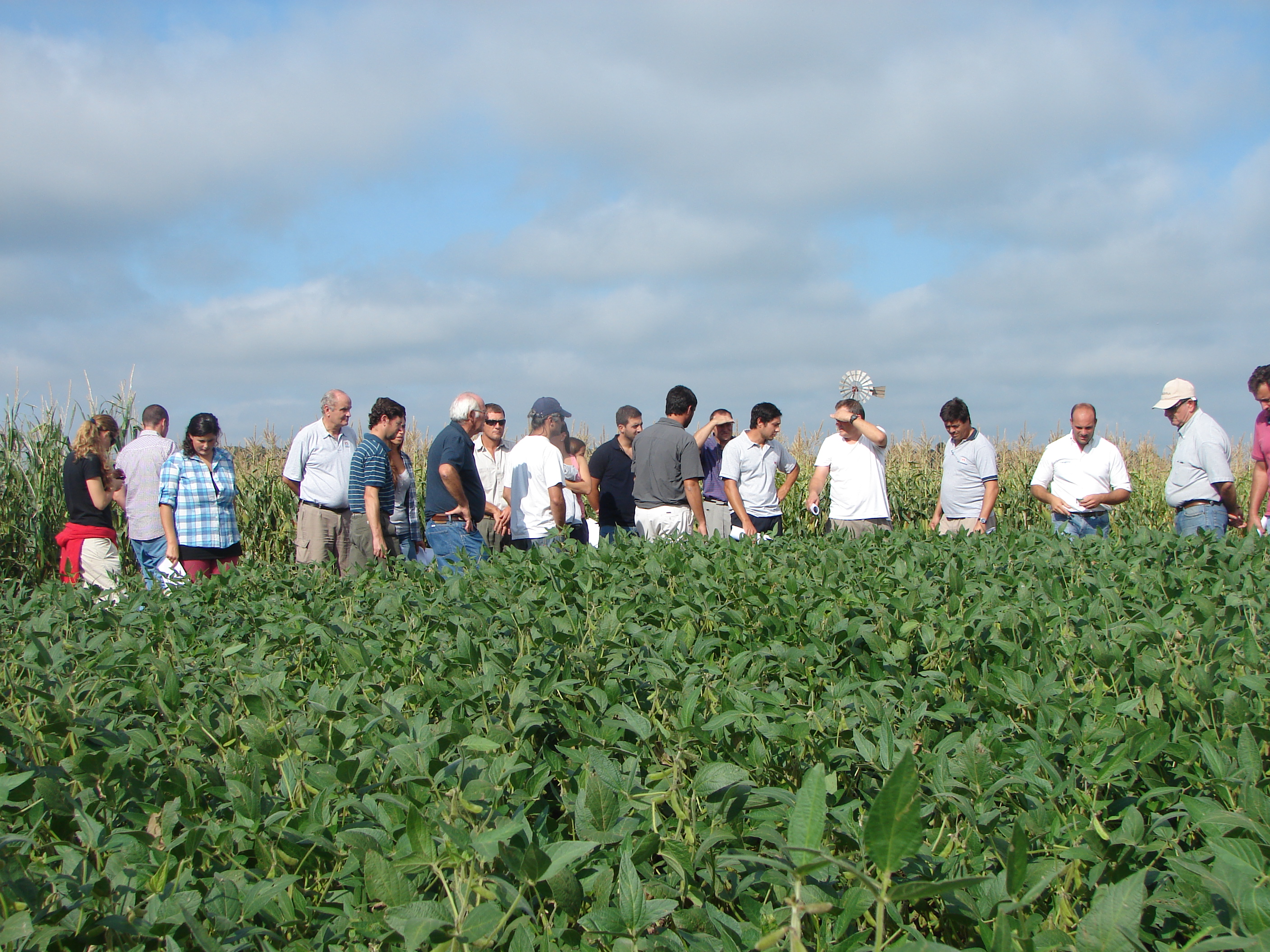 Ante el inminente comienzo de la campaña de soja, la Municipalidad realizó una reunión con los ingenieros agrónomos de Ramallo y la zona. El objetivo de la misma fue transmitir las modificaciones en materia legislativa y cuestiones administrativas.