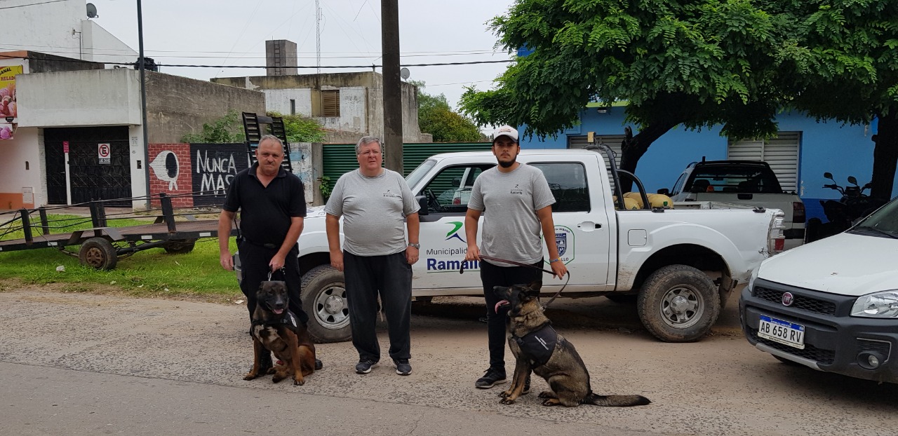 Desde la Secretaria de Seguridad realizaron el llamado a inscripción para el Cuarto Curso de Guías de Canes “Adiestrando a mi perro”, haciendo extensiva la invitación a la totalidad de los ciudadanos residentes en el partido de Ramallo. Se trata de un curso teórico-práctico para guías y conducción de canes.