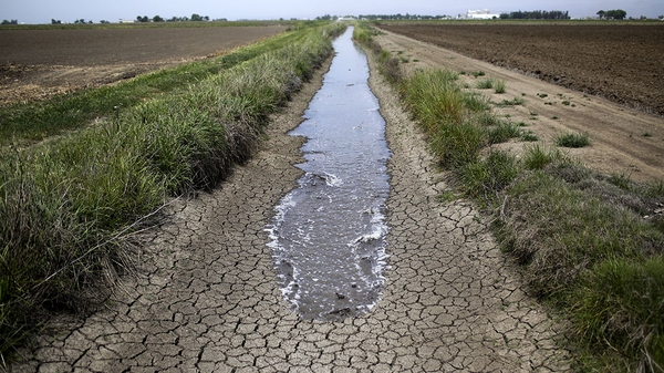 A través de una carta enviada al ministro de Agroindustria de la provincia de Buenos Aires, Leonardo Sarquis, el intendente Mauro Poletti en su carácter de presidente de la Comisión de Emergencia y Desastre Agropecuario del Partido de Ramallo, solicitó que se declare al distrito “en emergencia”.