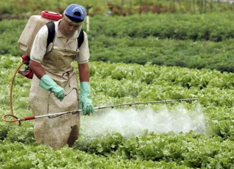 Los agrotóxicos son venenos que pueden producir cáncer, daño genético y afectar el sistema hormonal y nervioso humano.
