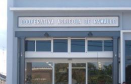 Continúan los despidos en la ex Cooperativa Agrícola de Ramallo