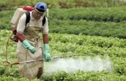 Fumigaciones con agrotóxicos en Pergamino: procesan a tres productores rurales