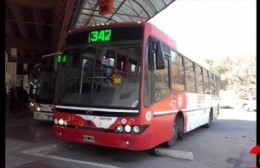 Confirman la vuelta del transporte público a Sánchez y El Paraíso