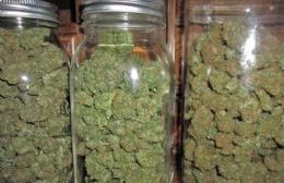 Incautaron más de 5 kilos de marihuana en Villa Ramallo