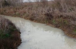Denuncian contaminación en el arroyo Las Hermanas
