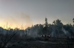 Se incendia la reserva natural