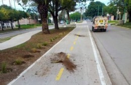 El municipio denunció vandalismo en el paseo de Avenida Mitre