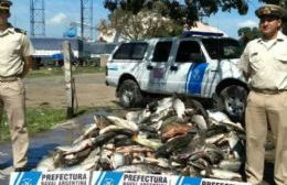 Prefectura decomisó pescado "no apto para el consumo" en el arroyo Ramallo