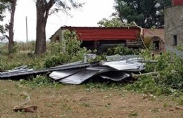 El temporal causó destrozos en Pérez Millán