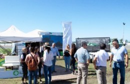 Más de 35 empresas eligieron Ramallo durante la Expoagro