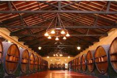 Turismo de Bodegas