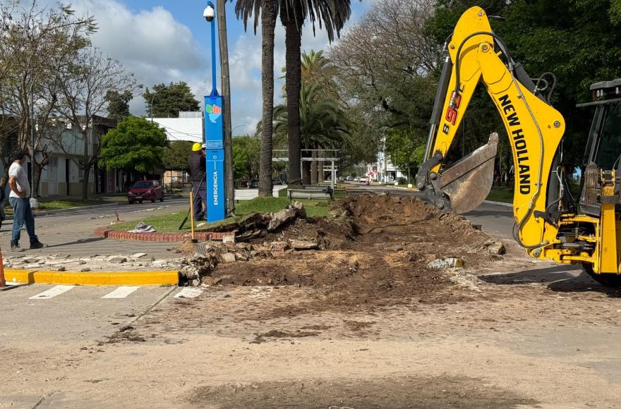 Comenzó la puesta en valor del Boulevard Mitre en el centro de la ciudad