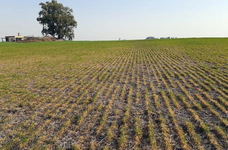Federación Agraria Ramallo expresó preocupación por la situación del campo