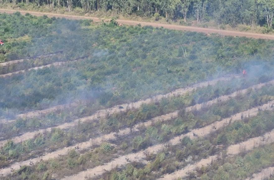 Presentaron informe al Concejo por incendios en la zona de Costa Pobre