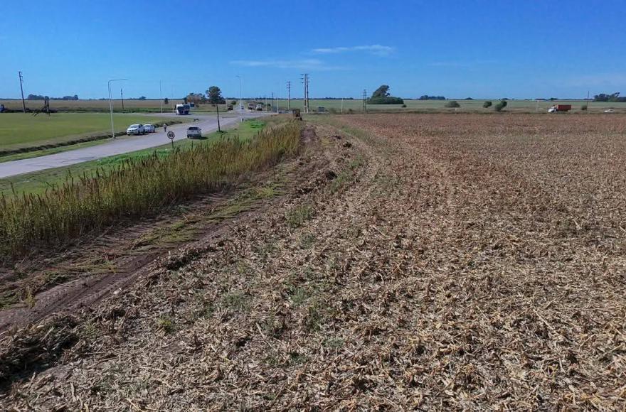 El Estado local recuperó un predio clave y proyecta obras para camiones