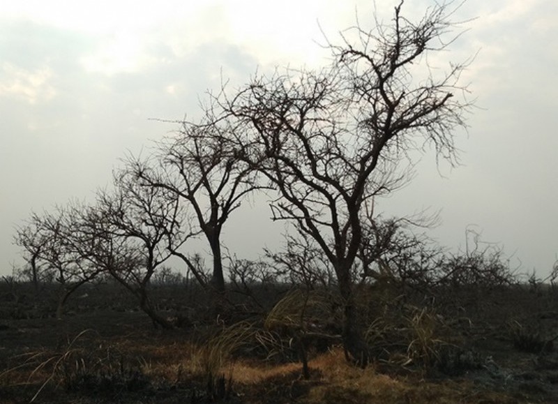 Una situación que se repite como consecuencia de la sequía es el incendio de banquinas o campos. 