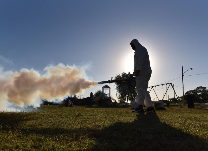 Guerra a los mosquitos.