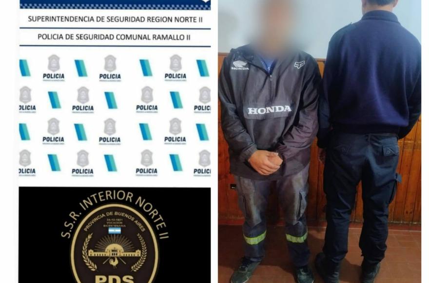 Aprehenden a cuatro personas por cortar leña sin autorización en un predio privado