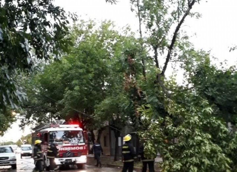 Intervención de los bomberos.