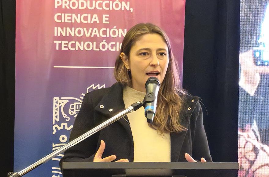 Mariela Bembi, subsecretaria de Industria y PyMEs