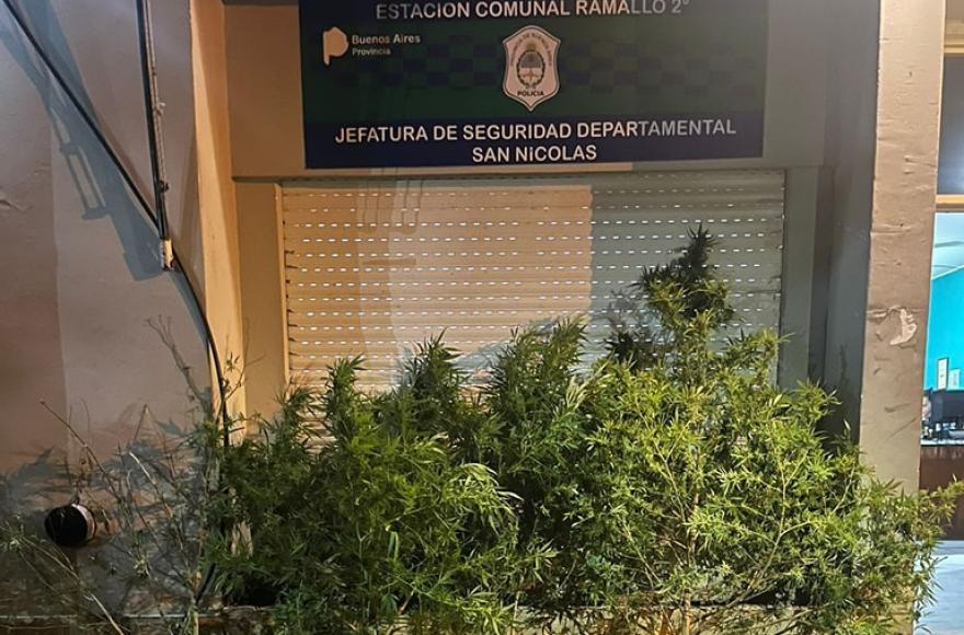 Villa Ramallo: buscaban objetos robados, encontraron marihuana