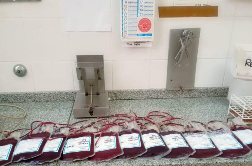 Hemoterapia del Hospital Gomendio: el esfuerzo que hay detrás de cada transfusión