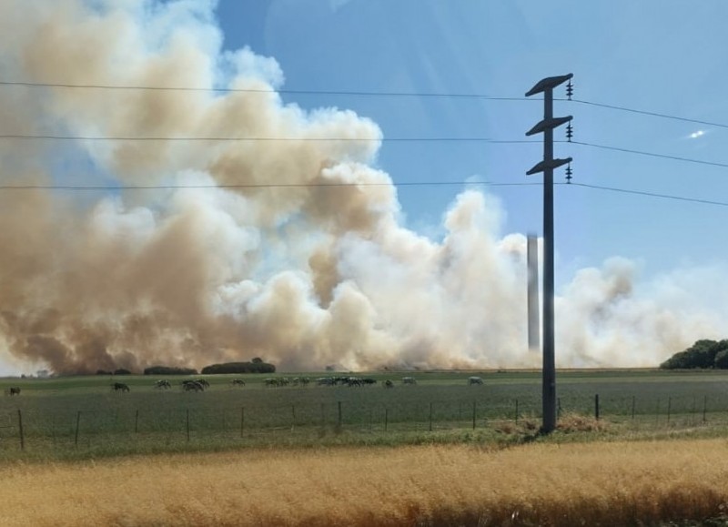 Ardua labor de los bomberos.