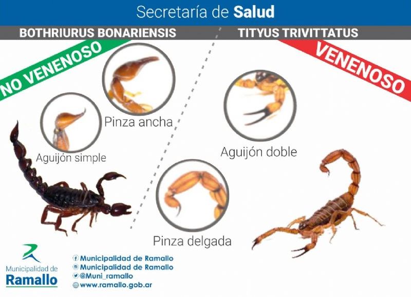Recomendaciones.
