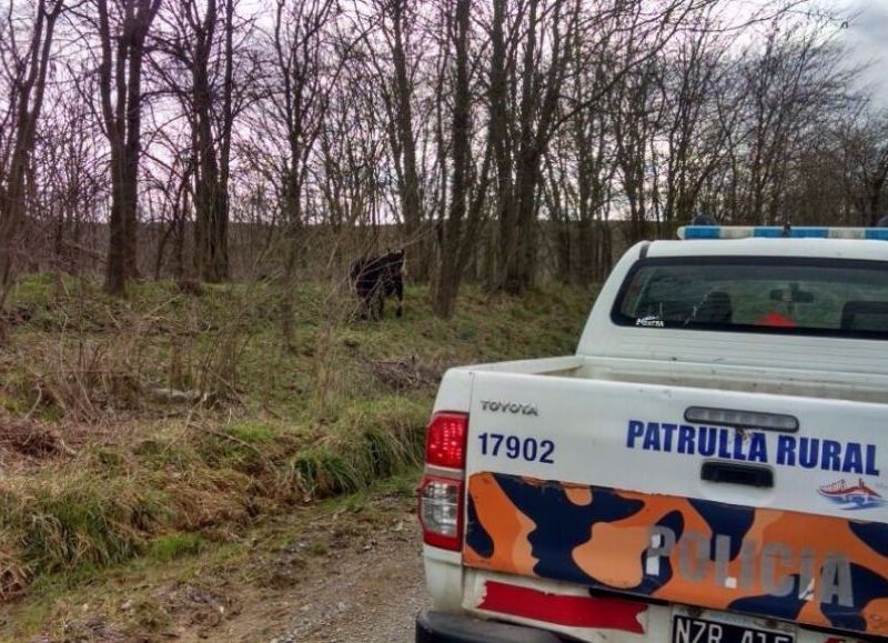 Intervención de la Patrulla Rural.