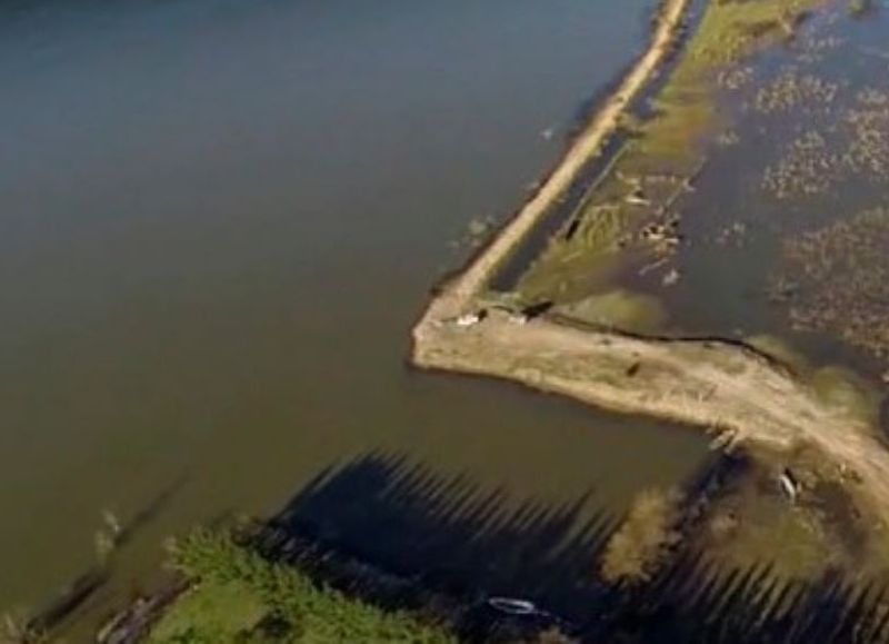 Contra la degradación ambiental.