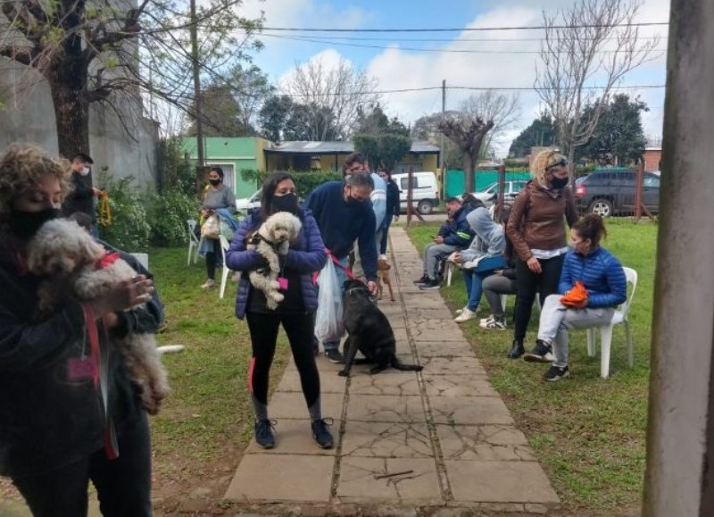 Siguen los operativos.