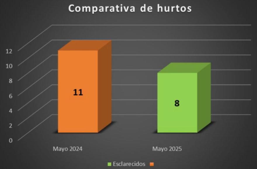 Las estadísticas son confeccionadas por el Observatorio de Seguridad Ciudadana. 