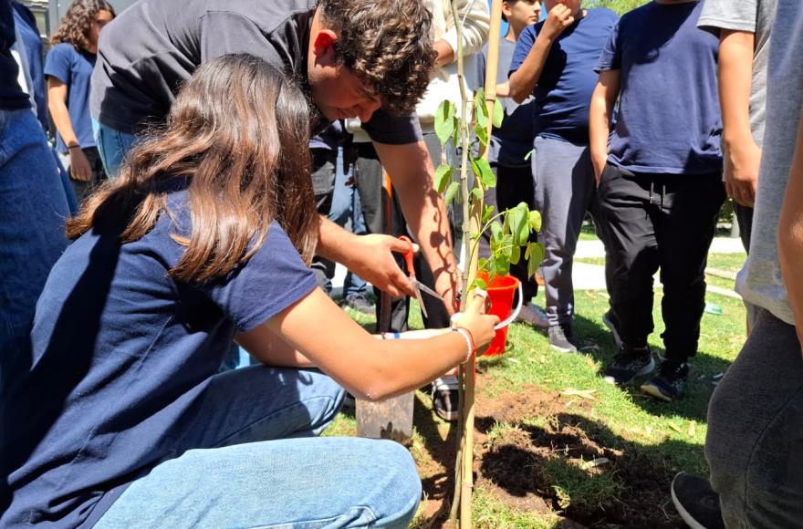 Plan de Forestación Municipal: la Técnica N° 3 sumó árboles