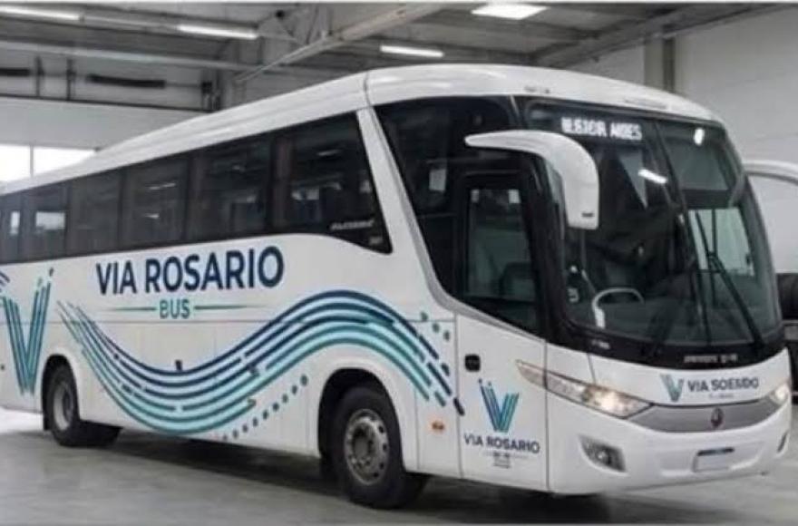 Línea 228 D: cómo será el recorrido y dónde parará en Ramallo
