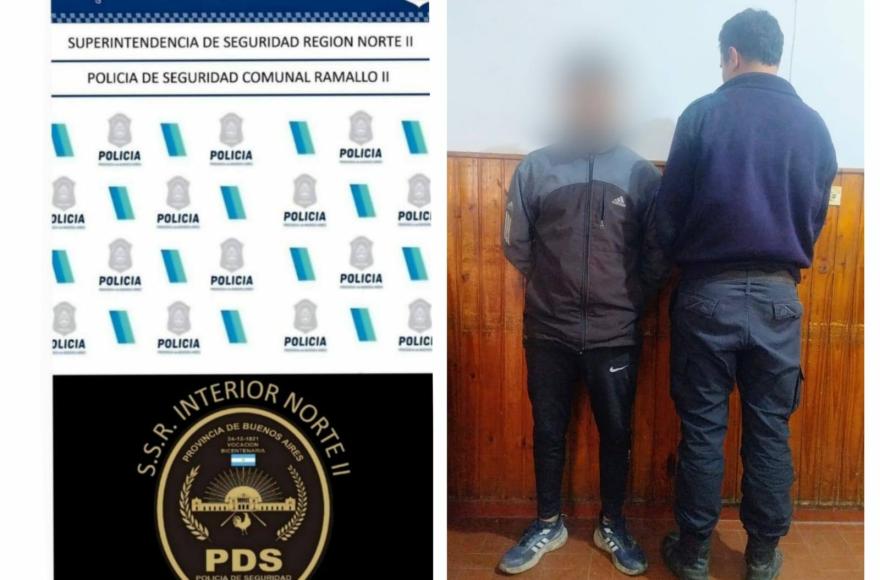 Aprehenden a cuatro personas por cortar le&ntilde;a sin autorizaci&oacute;n en un predio privado