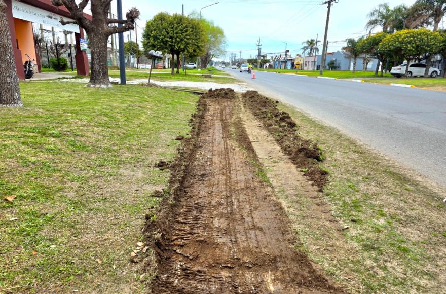 Continúan los trabajos preventivo de mantenimiento y limpieza