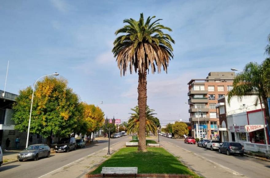  La iniciativa propone el cuidado y preservación de los bulevares.