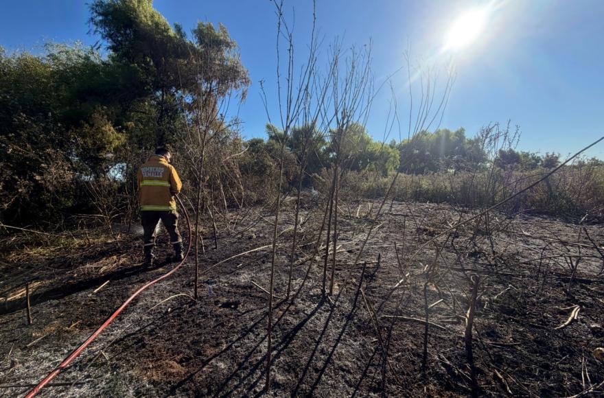 En total, diez bomberos intervinieron con motobombas, líneas de agua y herramientas de zapa.