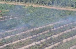 Presentaron informe al Concejo por incendios en la zona de Costa Pobre