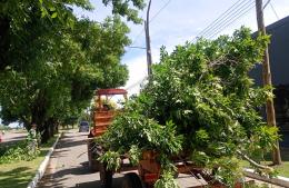 Informe de Defensa Civil tras las tormentas