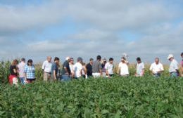 La Municipalidad convocó a ingenieros agrónomos