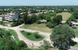 Primer paso para recuperar el Paseo de los Olivos