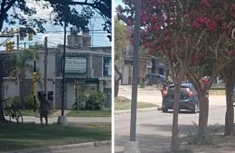 El Servicio Local pide denunciar situaciones de explotación infantil