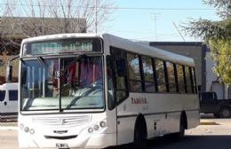 Buscan modificar las frecuencias del transporte público