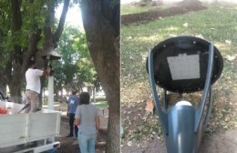 Comienza la obra en la Plaza San Carlos Borromeo