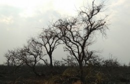 Hubo tres intervenciones de los bomberos este fin de semana en la ciudad