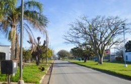 Etapa final de la puesta en valor de Avenida Savio
