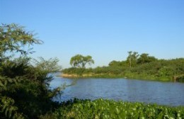 Desmonte de bosque nativo: denuncian avanzada de empresa arenera
