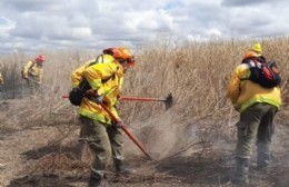 Defensa Civil informó que los incendios en las islas "están controlados"