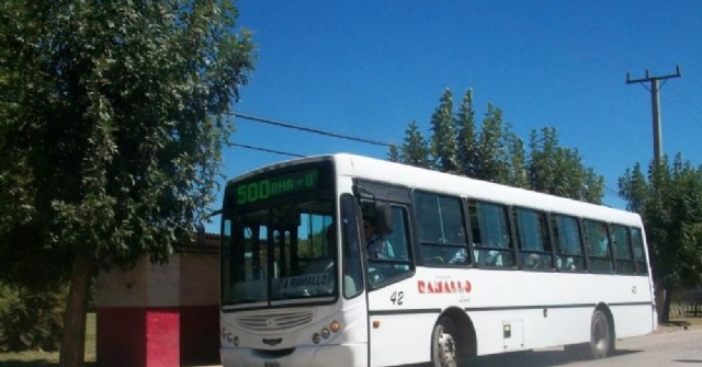 Otro golpe al bolsillo: El boleto del colectivo pasaría a costar $ 59,90